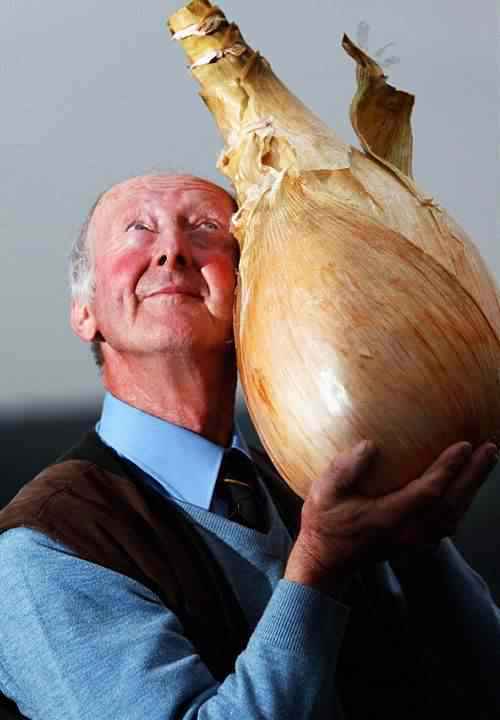 worlds heaviest onion A maior cebola do mundo