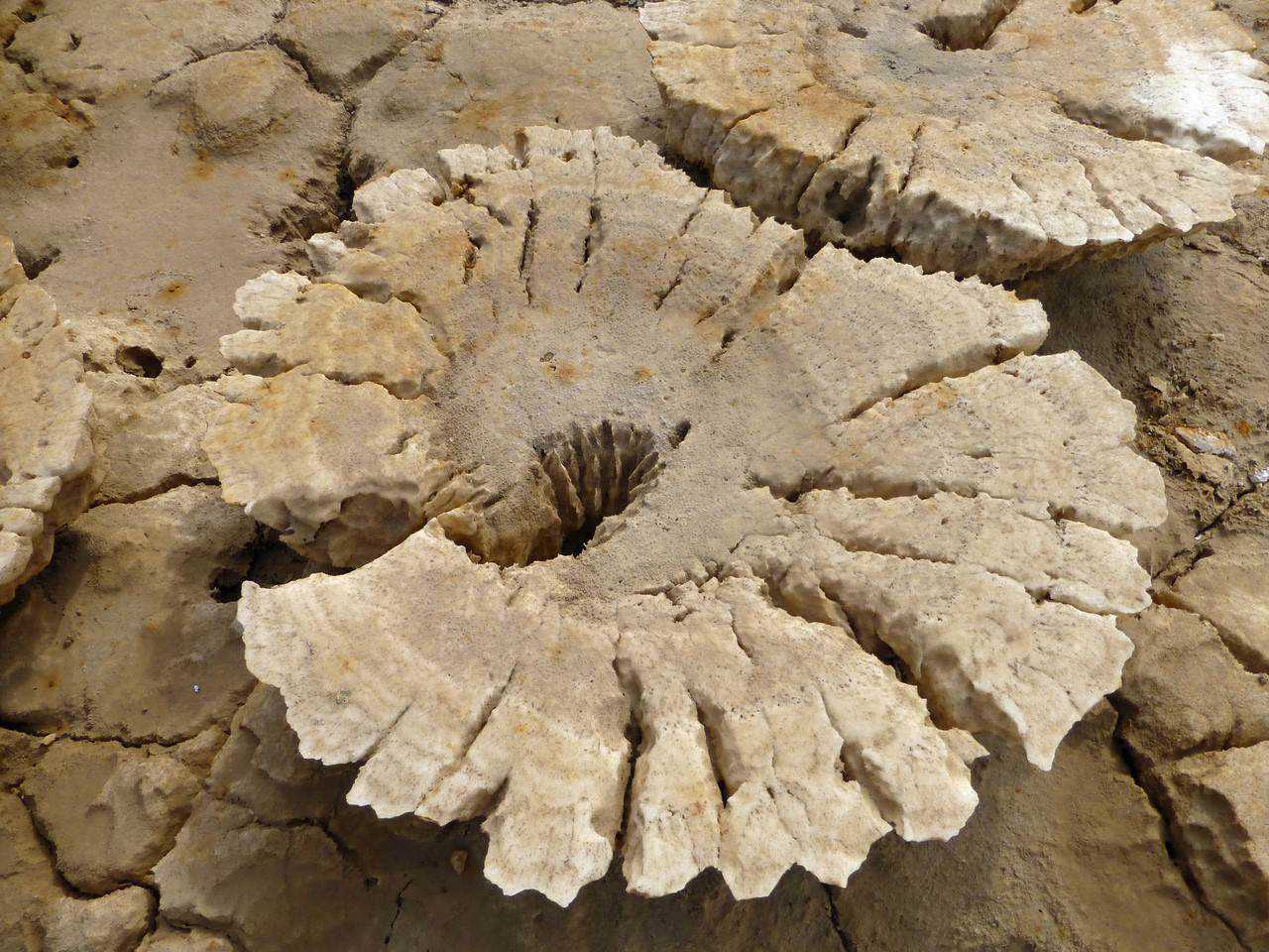 Dallol: Paisagem alienígena na Terra Curiosidades 0 103aaa 6075e4ad orig Dallol: Paisagem alienígena na Terra Curiosidades