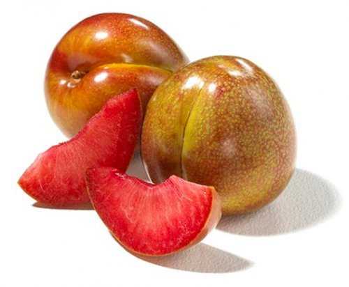 10104