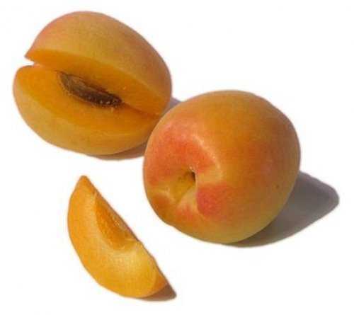 8102