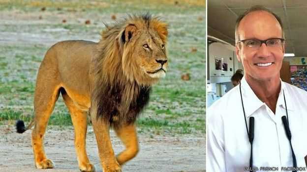 Por que o animal (da direita) ainda está vivo?