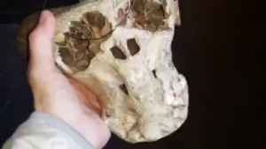 vlcsnap-2016-01-04-04h01m39s535