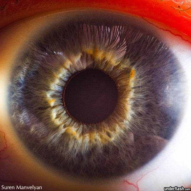 326771superficie do olho 10 Olhos incríveis
