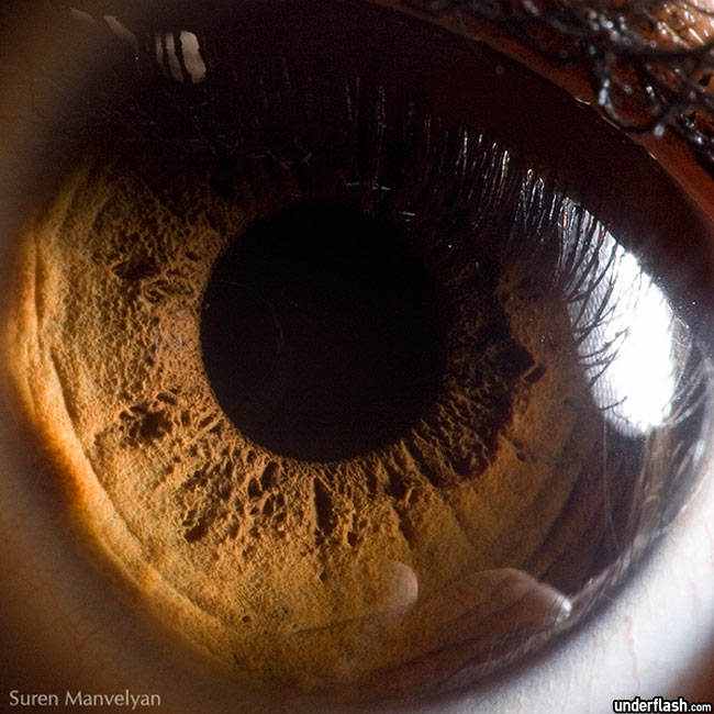 326771superficie do olho 11 Olhos incríveis