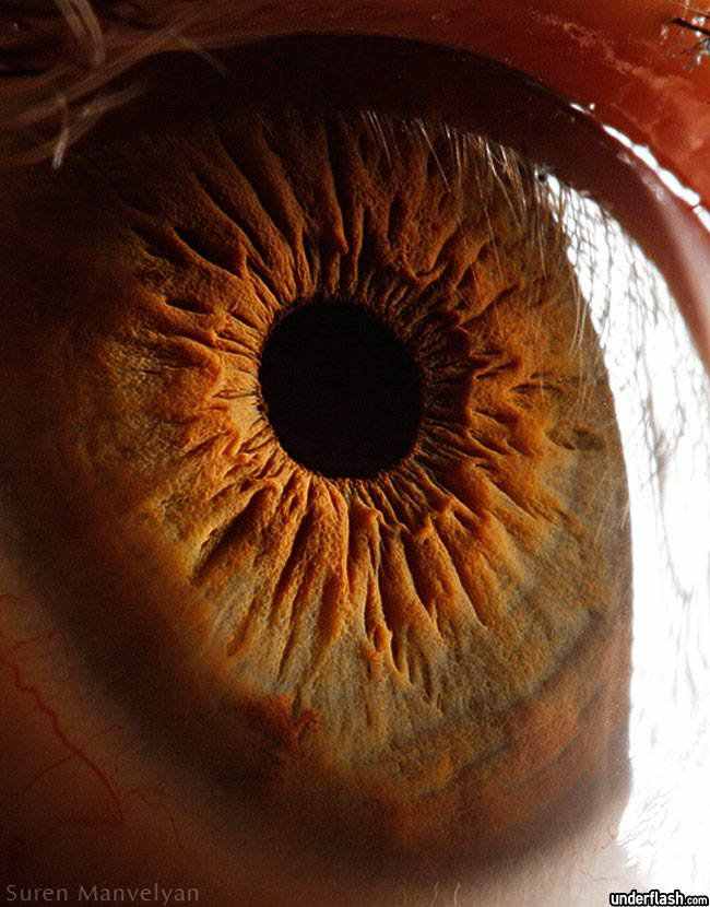 326771superficie do olho 18 Olhos incríveis