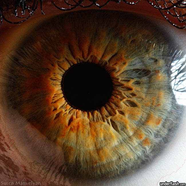 326771superficie do olho 21 Olhos incríveis