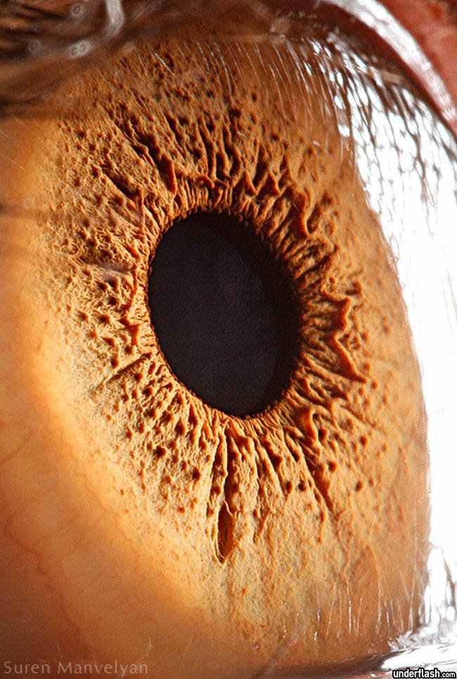 326771superficie do olho 25 Olhos incríveis