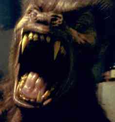 Licantropus werewolf | Contos | conto, Contos