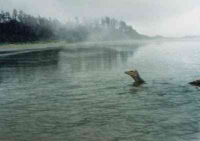 Nessie, o monstro de Loch Ness lochness1 | Incrível | criatura, lago, loch, monstro, ness, nessie, plessiossauro, serpente marinha, sonar