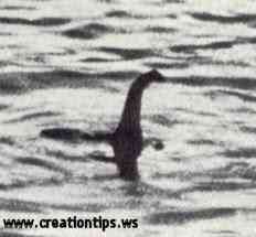 Nessie, o monstro de Loch Ness lochnessmonster | Incrível | criatura, lago, loch, monstro, ness, nessie, plessiossauro, serpente marinha, sonar