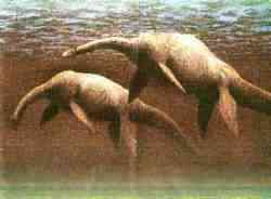 Nessie, o monstro de Loch Ness nessie | Incrível | criatura, lago, loch, monstro, ness, nessie, plessiossauro, serpente marinha, sonar
