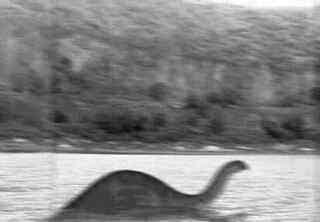 Monstros gigantes? Isto é incrível | Curiosidades | Arqueologia, criaturas, criptozoologia, dinossauros, gigantes, Loch Ness, monstros, Monstros marinhos