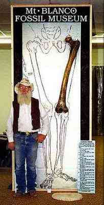 Monstros gigantes? Isto é incrível femur | Curiosidades | Arqueologia, criaturas, criptozoologia, dinossauros, gigantes, Loch Ness, monstros, Monstros marinhos