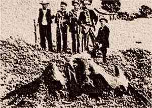 Monstros gigantes? Isto é incrível ptero2 | Curiosidades | Arqueologia, criaturas, criptozoologia, dinossauros, gigantes, Loch Ness, monstros, Monstros marinhos