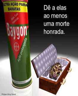 Três casos "baratos" Baygon | Aventuras | baratas, coleções, maluca