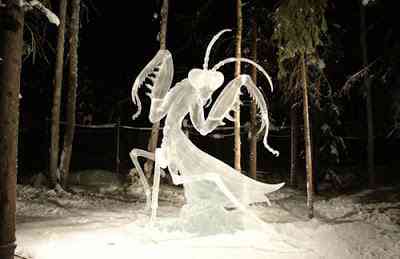 Escultura de gelo: Louva-Deus de gelo praying mantis ice sculpture | Arte | escultura, gelo