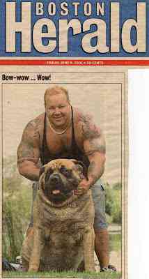 O maior cachorro do mundo Hercules | Animais | cachorro, gigante