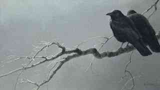 Robert Bateman - O fotógrafo de mão cheia RMBCrowCompanions | Arte | Arte, incrível, pintura