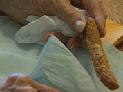 Eletrocute sua salsicha salsicha