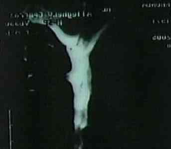 Coisas curiosas que você não pode nem imaginar jesus mri scan | Curiosidades | curioso, incrível, religião