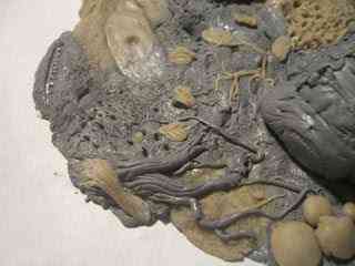 Projeto Boneco do John Locke - LOST - parte 7 CIMG3071 | Arte | bonecos, dicas, escultura, Lost