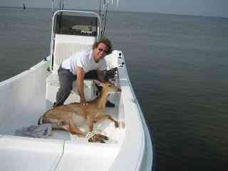 Dois caras resgatam um veadinho no barco deerfishing5 | Animais | animais, bizarro, estranhos, incrível, notícia