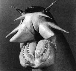 Os animais mais estranhos e esquisitos do mundo hagfish | Animais | animais, bizarro, curioso, estranhas
