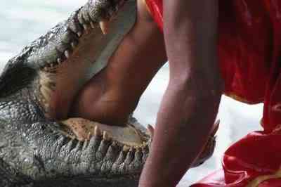 10 bichos que eu não colocaria na mão - parte II manshandincroc Knuttz | Animais | animais, bichos, bizarrice, bizarro, curioso, nojento