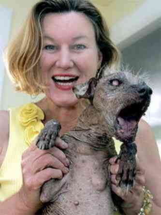 Cachorros feios, os Cães do capeta ugly dog winner chinese meat creste | Animais | bichos, bizarrice, bizarro, cachorro, curioso, horrível