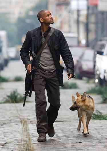 I Am Legend Will Smith i am legend will smith 1 | Arte | cinema, Textos