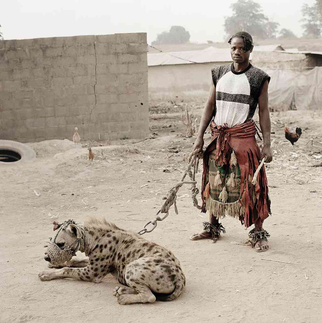 nigerianpet20hyena nigerianpet20hyena | Animais | animais, bichos, bizarrice, bizarro