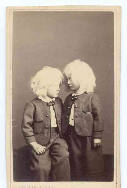 Albinismo: O branco que a natureza merece AlbinoChildren | Animais | animais, bichos, bizarro, cachorro, curioso, mutante, peixe