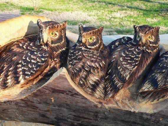 O fera da motoserra real arts of woodcarving13 | Arte | árvores, boni, brincar, caiu, dele, estes, fala, foi, imagens, madeira, perdeu, senhor, serra, tempo, tempos, trabalho, tudo, uma