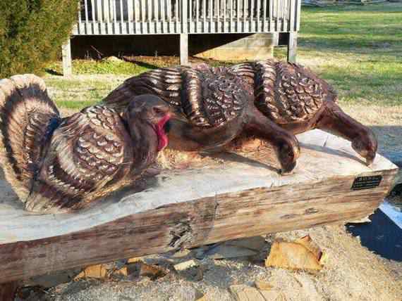 O fera da motoserra real arts of woodcarving19 | Arte | árvores, boni, brincar, caiu, dele, estes, fala, foi, imagens, madeira, perdeu, senhor, serra, tempo, tempos, trabalho, tudo, uma