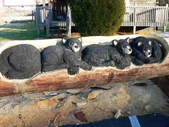 O fera da motoserra real arts of woodcarving20 | Arte | árvores, boni, brincar, caiu, dele, estes, fala, foi, imagens, madeira, perdeu, senhor, serra, tempo, tempos, trabalho, tudo, uma