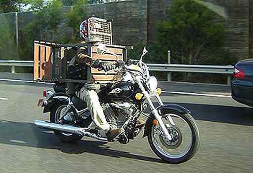 A arte de transportar 0587012600 | Animais | bicicleta, bizarrice, bizarro, carga, china, curioso, índia, maluco, moto, pesado