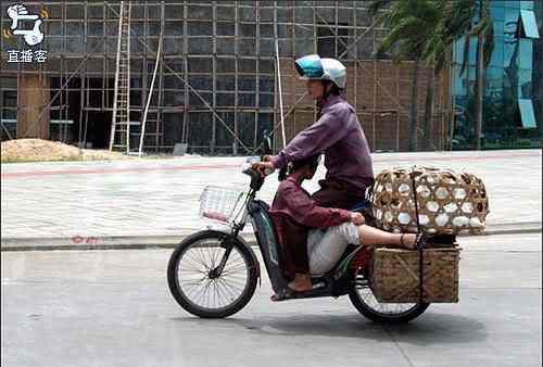A arte de transportar 1246171767 8856ff759c | Animais | bicicleta, bizarrice, bizarro, carga, china, curioso, índia, maluco, moto, pesado