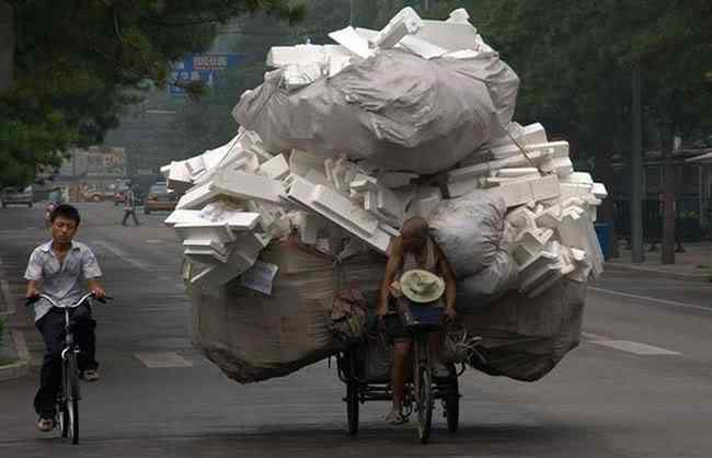 A arte de transportar 1752 huge load | Animais | bicicleta, bizarrice, bizarro, carga, china, curioso, índia, maluco, moto, pesado