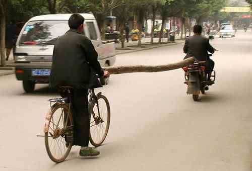 A arte de transportar 385197963 6f38d08e4d | Animais | bicicleta, bizarrice, bizarro, carga, china, curioso, índia, maluco, moto, pesado