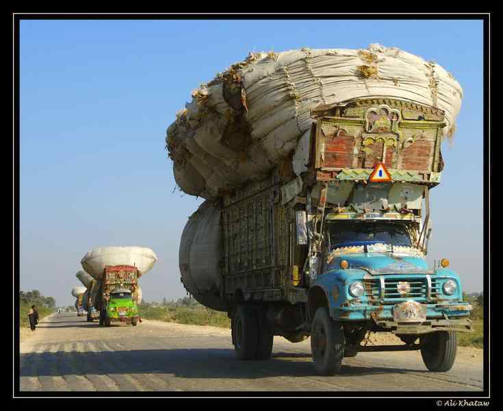 A arte de transportar 6031866 lg | Animais | bicicleta, bizarrice, bizarro, carga, china, curioso, índia, maluco, moto, pesado