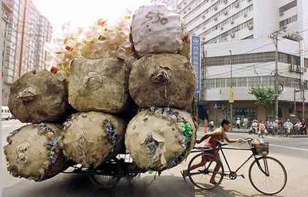 A arte de transportar a96702 load1 | Animais | bicicleta, bizarrice, bizarro, carga, china, curioso, índia, maluco, moto, pesado