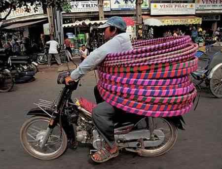 A arte de transportar a96702 load10 | Animais | bicicleta, bizarrice, bizarro, carga, china, curioso, índia, maluco, moto, pesado