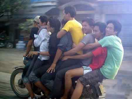 A arte de transportar a96702 load11 | Animais | bicicleta, bizarrice, bizarro, carga, china, curioso, índia, maluco, moto, pesado
