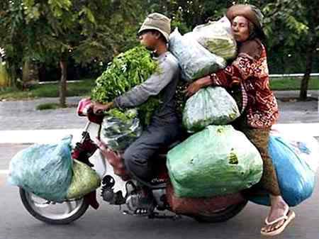 A arte de transportar a96702 load14 | Animais | bicicleta, bizarrice, bizarro, carga, china, curioso, índia, maluco, moto, pesado