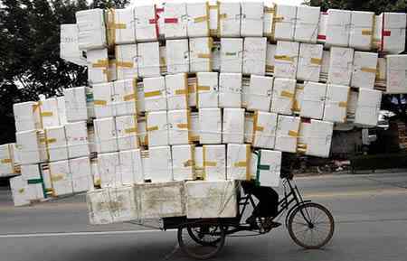 A arte de transportar a96702 load2 | Animais | bicicleta, bizarrice, bizarro, carga, china, curioso, índia, maluco, moto, pesado