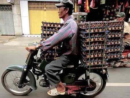 A arte de transportar a96702 load3 | Animais | bicicleta, bizarrice, bizarro, carga, china, curioso, índia, maluco, moto, pesado