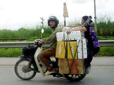 A arte de transportar a96702 load4 | Animais | bicicleta, bizarrice, bizarro, carga, china, curioso, índia, maluco, moto, pesado