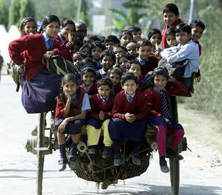 A arte de transportar a96702 load6 | Animais | bicicleta, bizarrice, bizarro, carga, china, curioso, índia, maluco, moto, pesado
