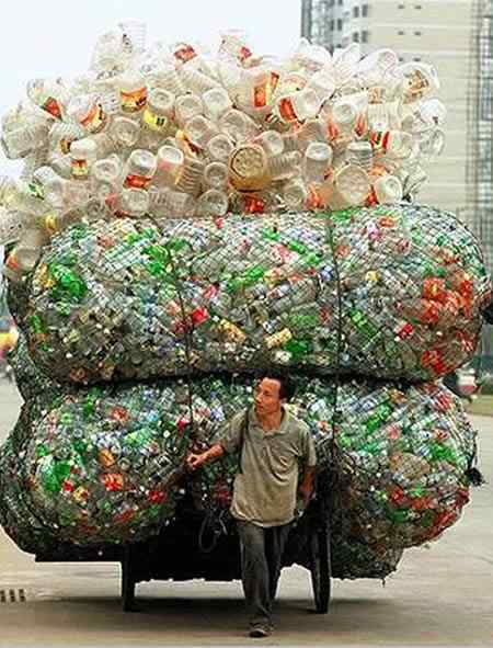 A arte de transportar a96702 load9 | Animais | bicicleta, bizarrice, bizarro, carga, china, curioso, índia, maluco, moto, pesado