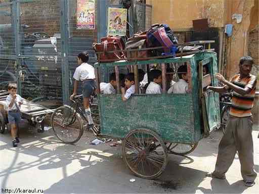 A arte de transportar shkolavtobus79 | Animais | bicicleta, bizarrice, bizarro, carga, china, curioso, índia, maluco, moto, pesado